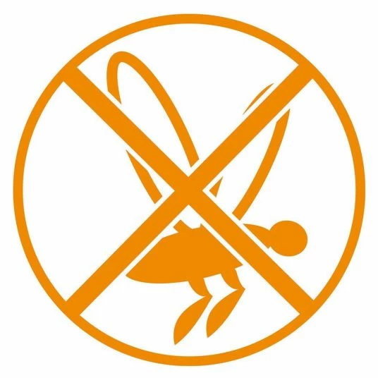 Cheap 🔥 Diago Insektenschutz für Babyschale - Weiß ❤️ 4 Cheap 🔥 Diago Insektenschutz für Babyschale - Weiß ❤️ - Image 4