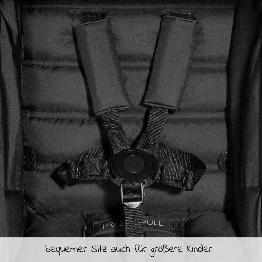 New π₯° Hauck Buggy & Sportwagen Rapid 4 (bis 25 kg) - Grey - Collection 2022 π₯ 6 New π₯° Hauck Buggy & Sportwagen Rapid 4 (bis 25 kg) - Grey - Collection 2022 π₯ - Image 6